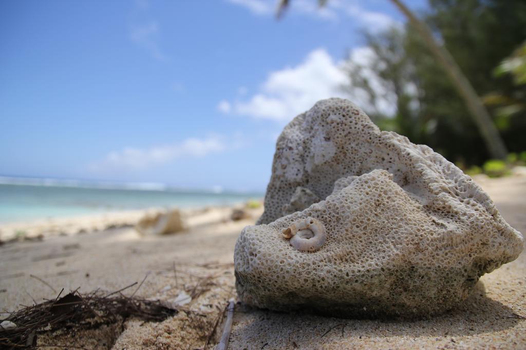 Coral Sands Apartamentos Rarotonga Exterior foto